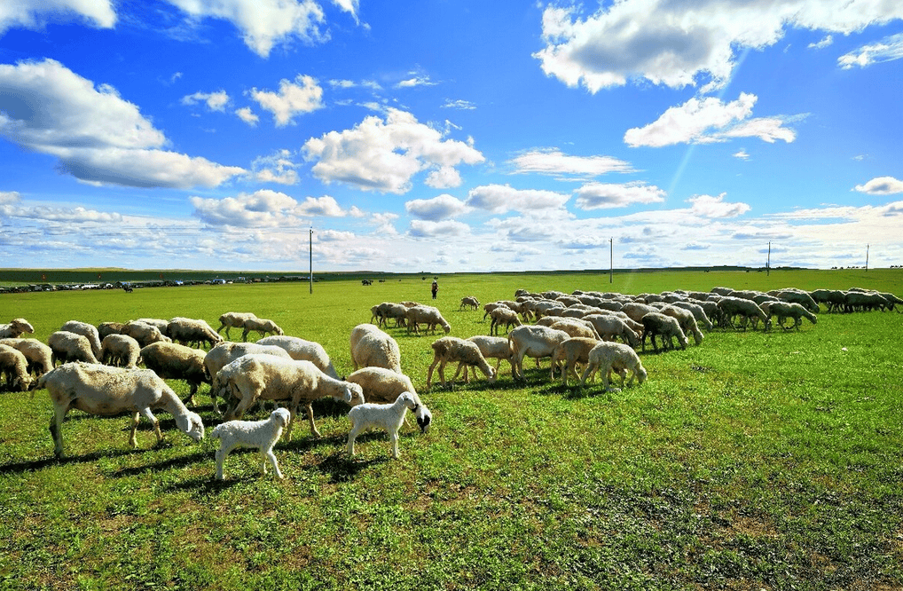 樂林丨讓每個人，樂享品質涮烤生活